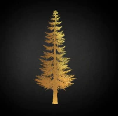 NFT2Tree Douglas Fir 2022