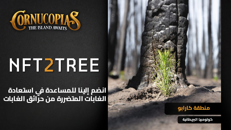 عملية تسجيل سلسلة NFT2Tree الثالثة