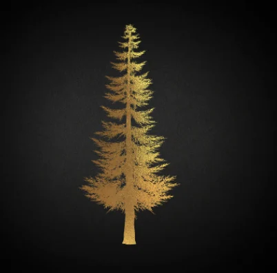 NFT2Tree Douglas Fir 2022